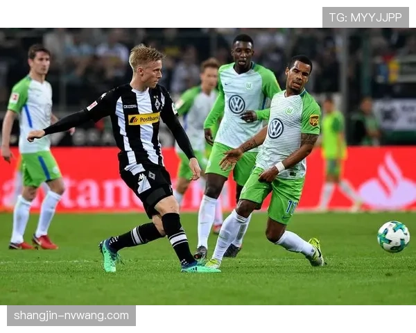 门兴格拉德巴赫前锋塔巴科维奇 德甲射手榜位列前五名